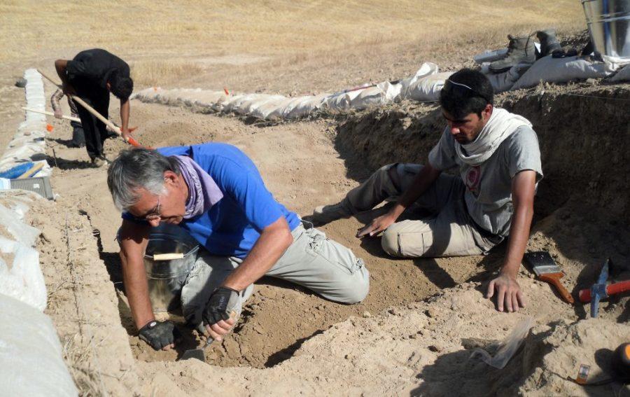Oriental Institute archaeologists pictured working at a site in Iraq, one of the countries covered  by the order.