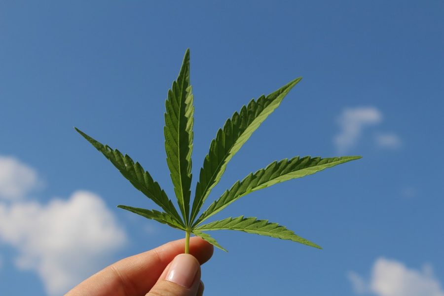 Legalization of marijuana in Illinois