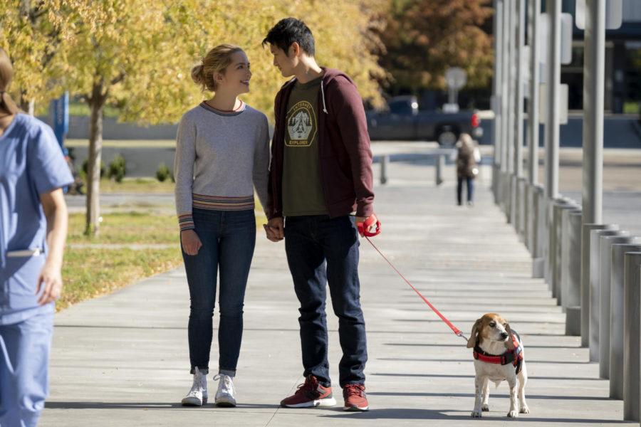 Jennifer Carter (Jessica Rothe) and Solomon Chau (Harry Shum Jr.) enjoy a sunny walk with their dog in All My Life.