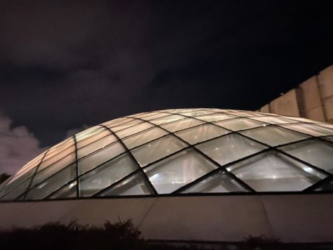 Composting Must Be UChicago’s Next Green Step