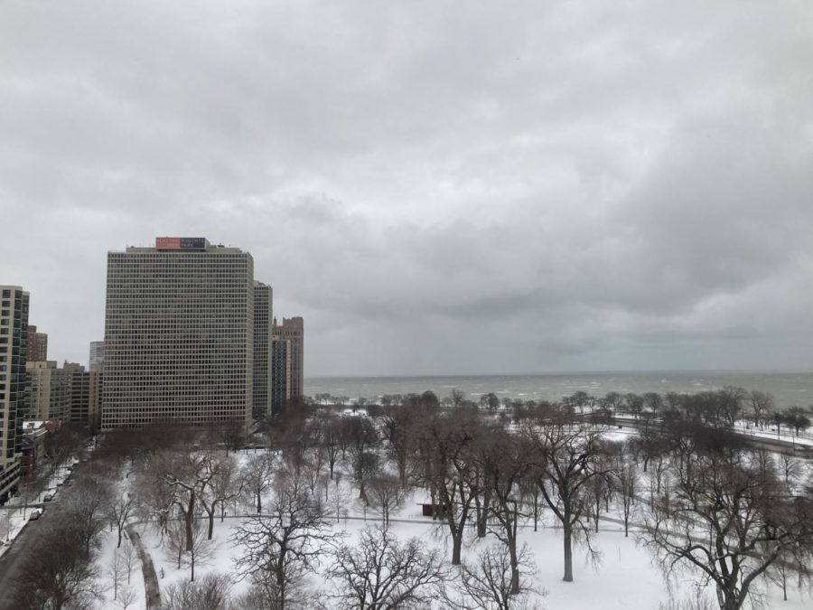 A snowy winter day in Hyde Park.