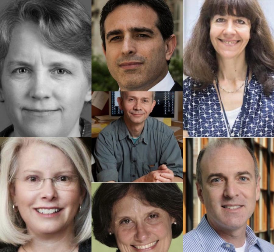 2021 AAAS Fellows Share Their Experience in Scientific Research