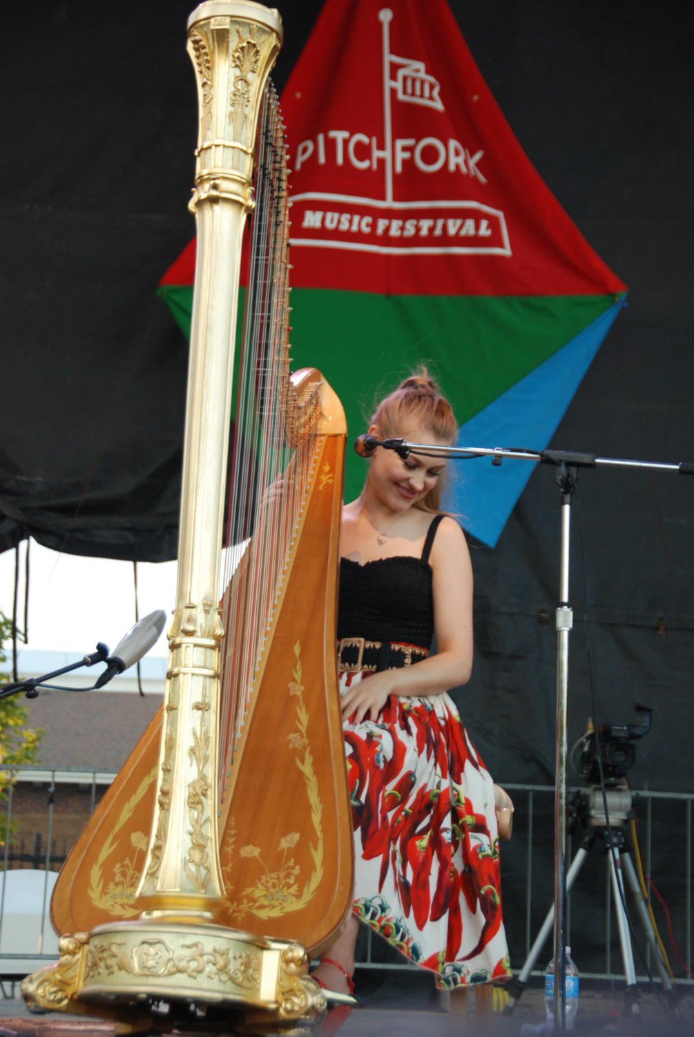 Joanna Newsom performs on the harp.