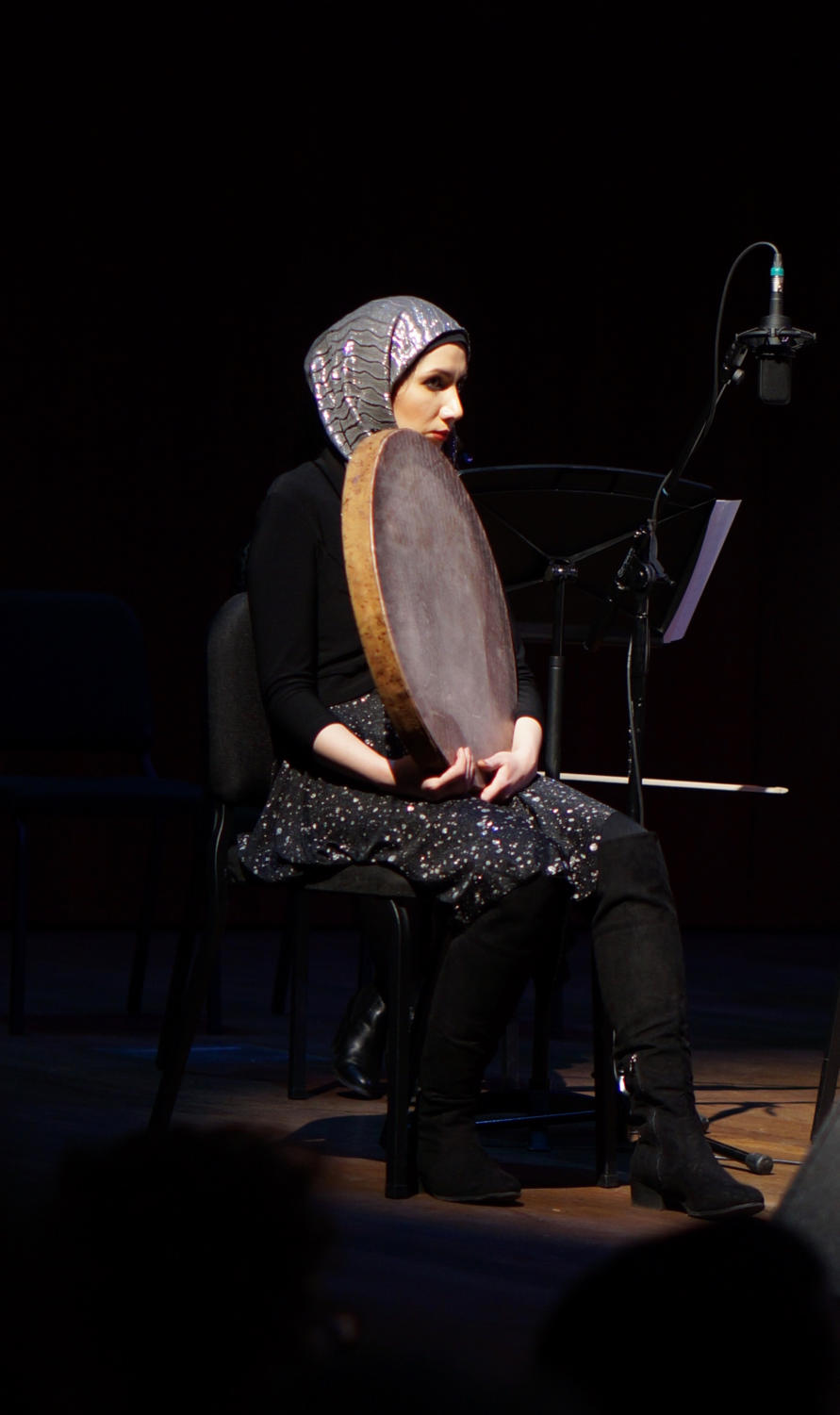 Traditional Persian instruments are played by the Middle East Music Ensemble at the Persian Concert.