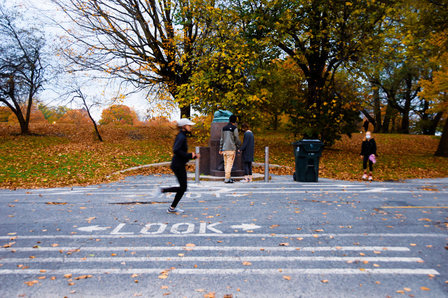 “Fall at the Point:” Promontory Point is bustling with Hyde Park residents among fallen leaves and colored trees.