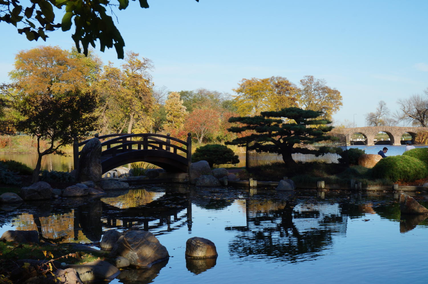 A newly renovated Garden of the Phoenix on Wooded Island in Jackson Park