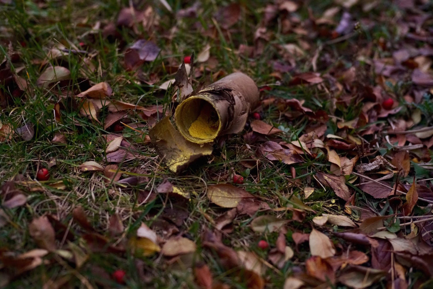 Shells could be found on the grass around Regenstein Library after the cloud had dissipated.