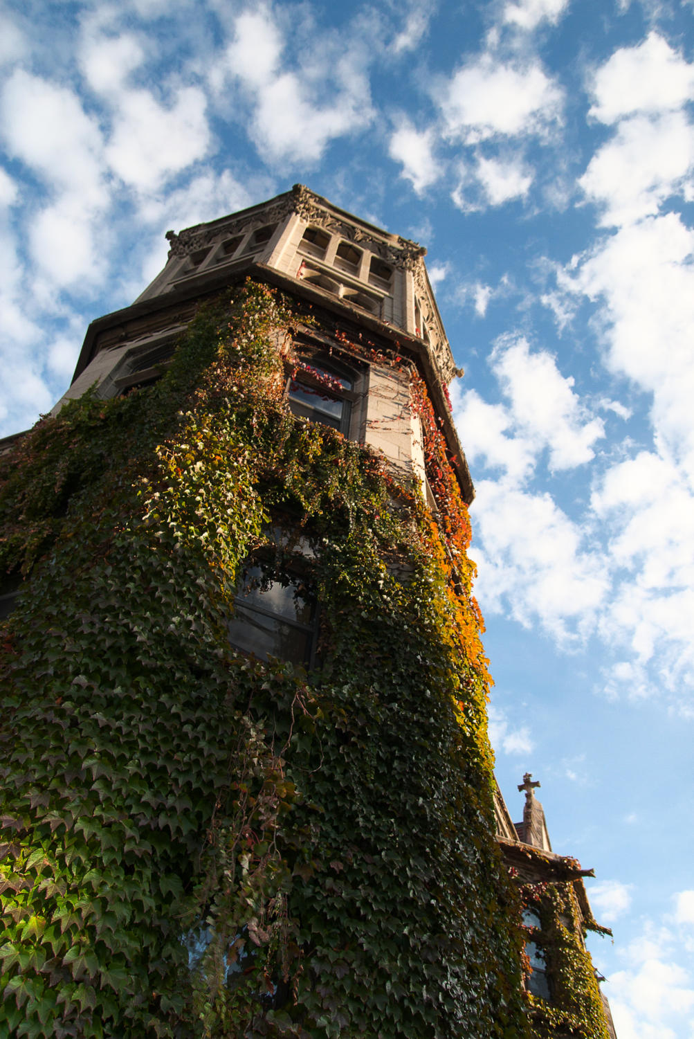 Snell-Hitchcock hall