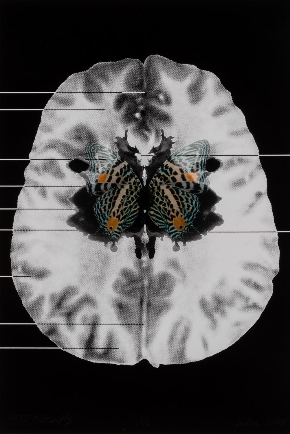 Suzanne Anker, MRI Butterfly (5) (2008). Inkjet print on watercolor paper, edition of 6.