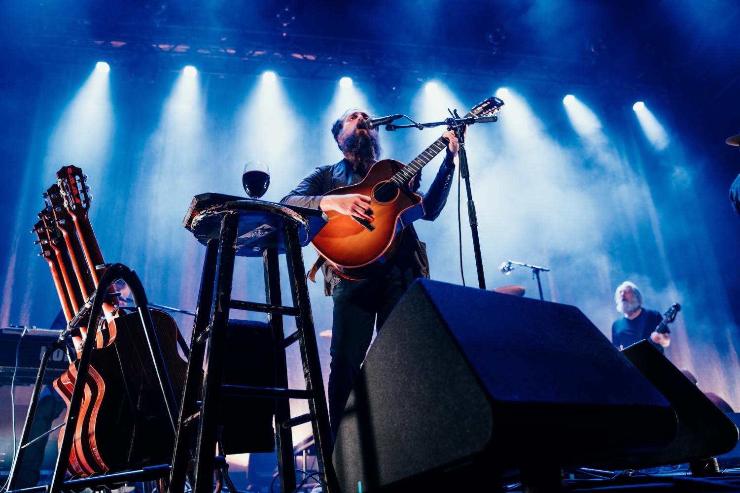 Singer-songwriter Iron and Wine at Thalia Hall
