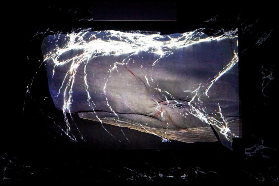 It’s a Wednesday night at the Studebaker Theater, and 70 minutes into Moby Dick, an immense white whale painted on a screen slowly covers a dark stage.