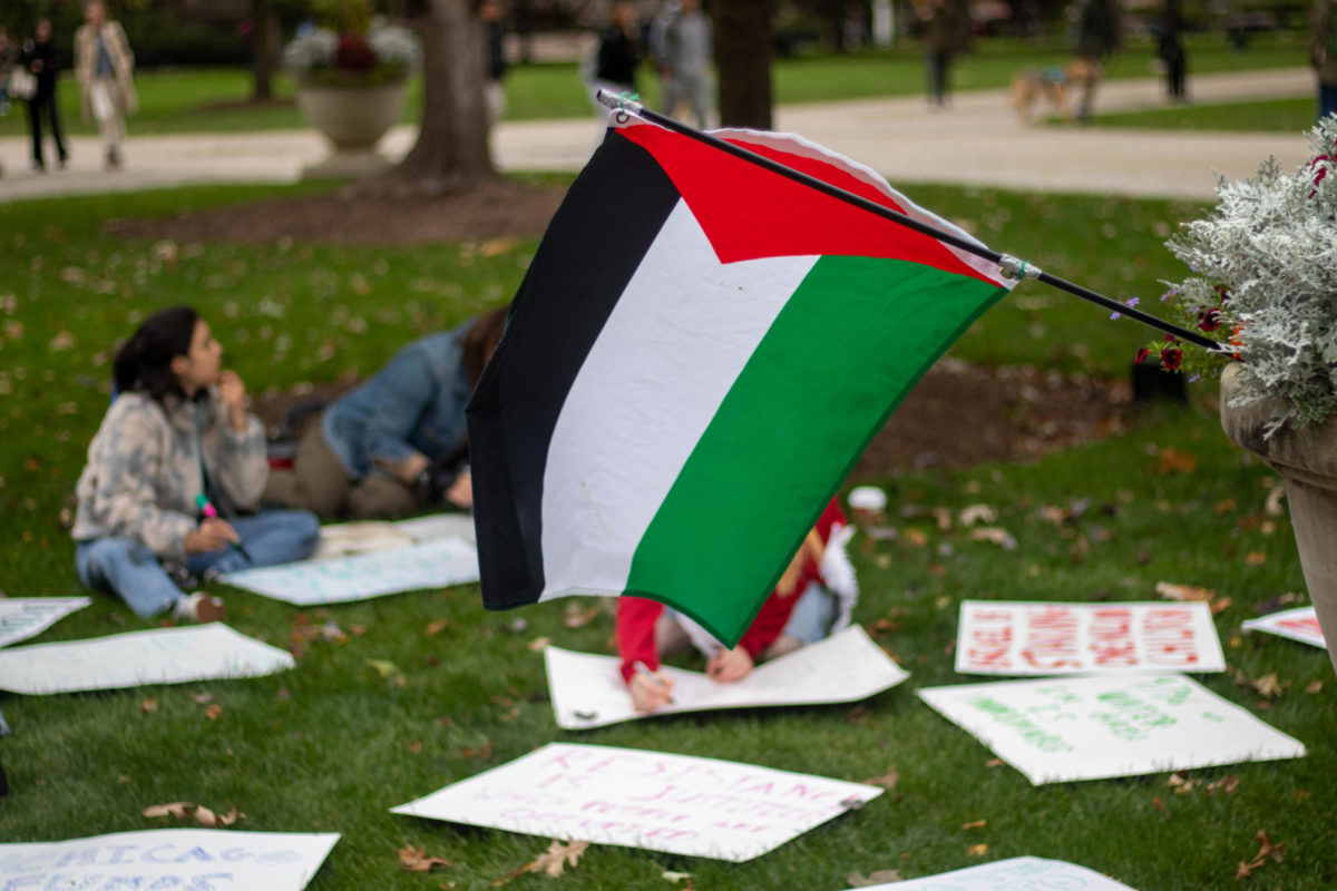 SJP and other supporters of Palestine chalked pathways and created signs during a demonstration on the quad