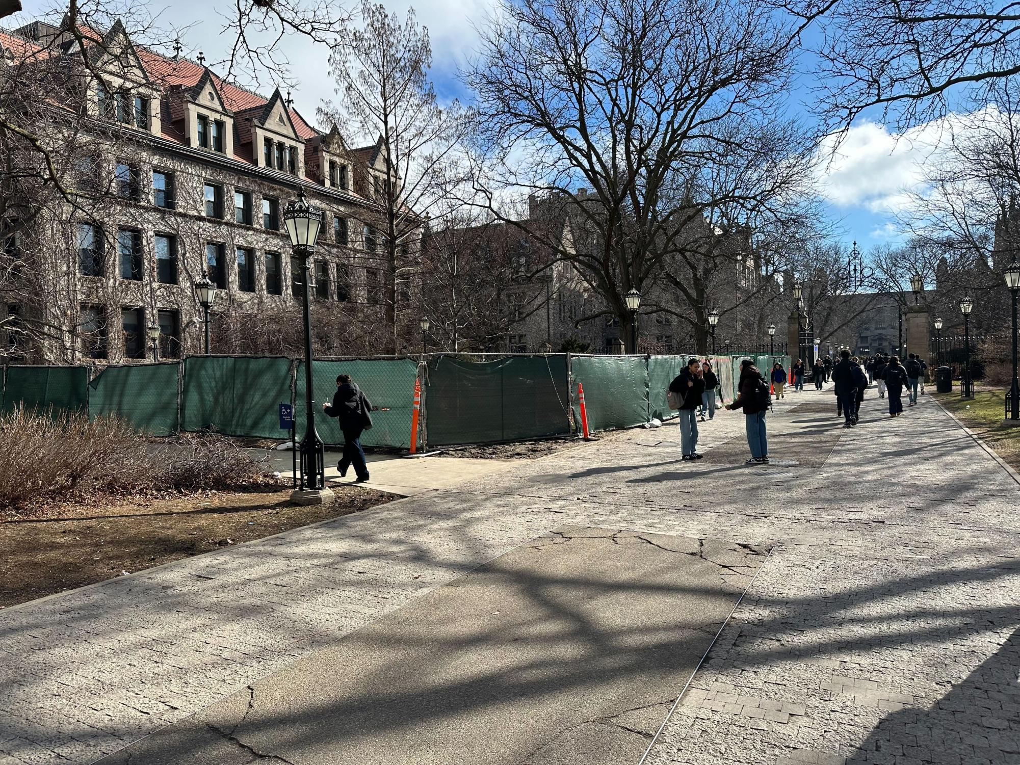 Botany Pond Restoration Faces Delays, Reopening Date Unclear – Chicago ...