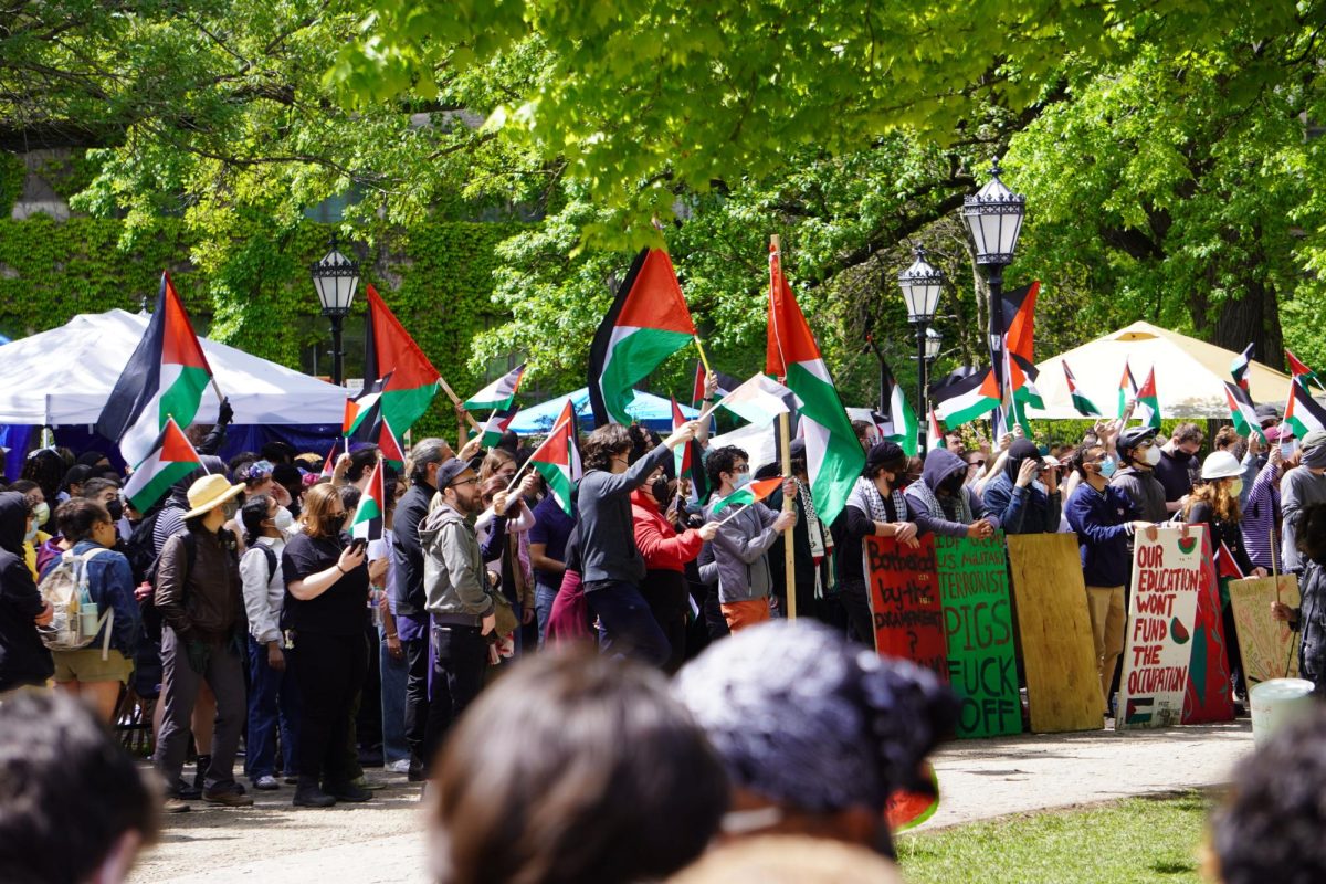 Protesters waving Palestinian flags.