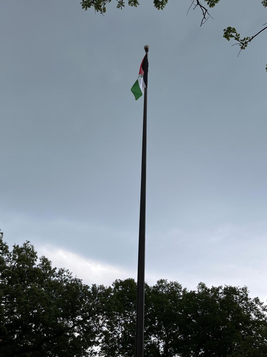 Protestors ahve raised the Palestinian flag on the flagpole.