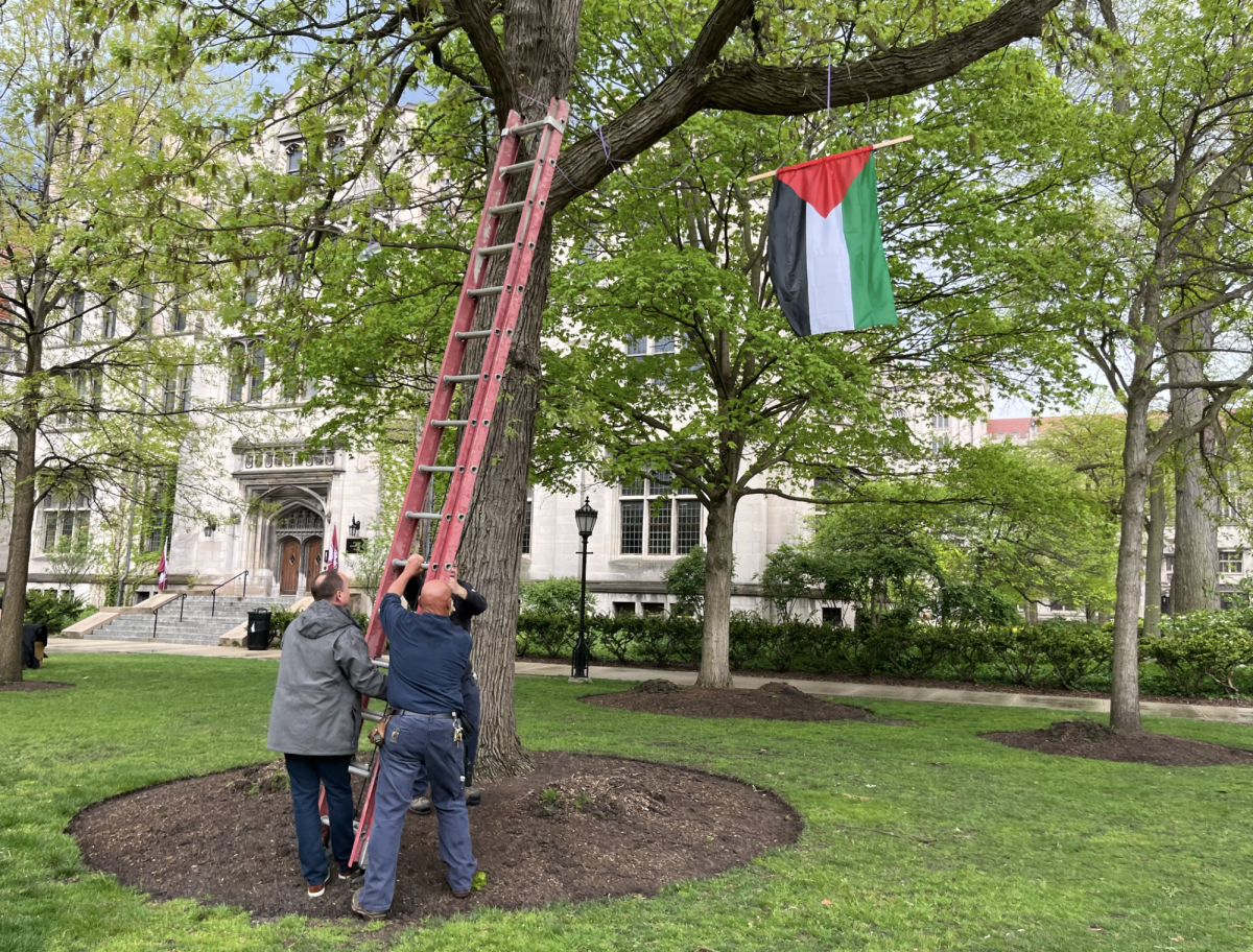 Facilities Services removing a Palestinian flag from a large tree across the quad from the encampment.