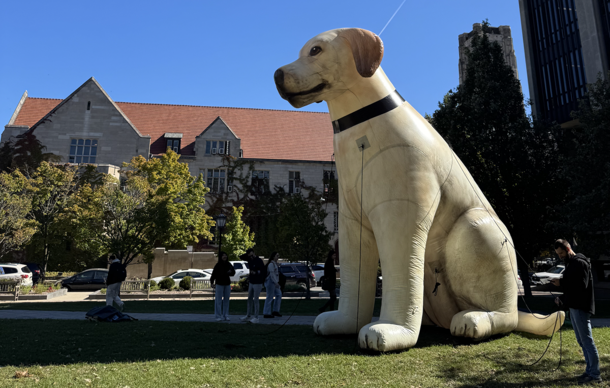 The large inflatable dog that NOMO used on the main quad to advertise their challenge.