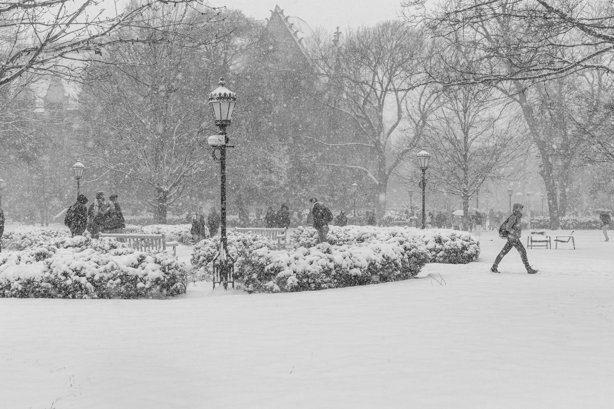 The Maroon captured scenes throughout the snowy day.