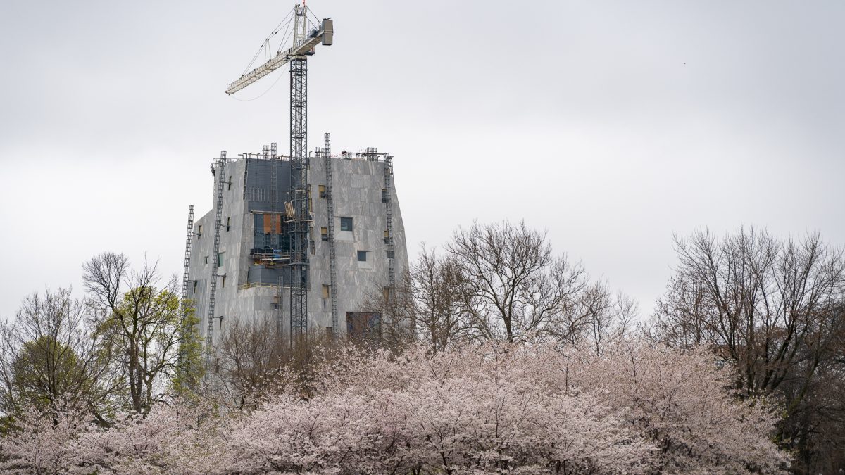 A Monument and Its Shadow: The Irony of Development