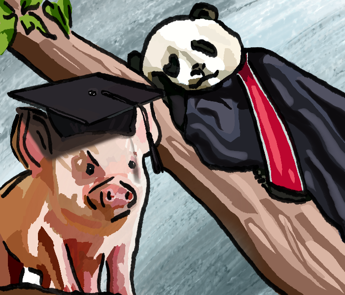 Pigs and Pandas in American Higher Education