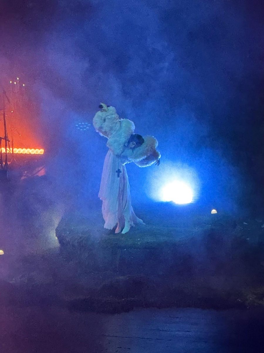 Not for Radio begins the first act with Zardoya in white regalia, representing the white swan.