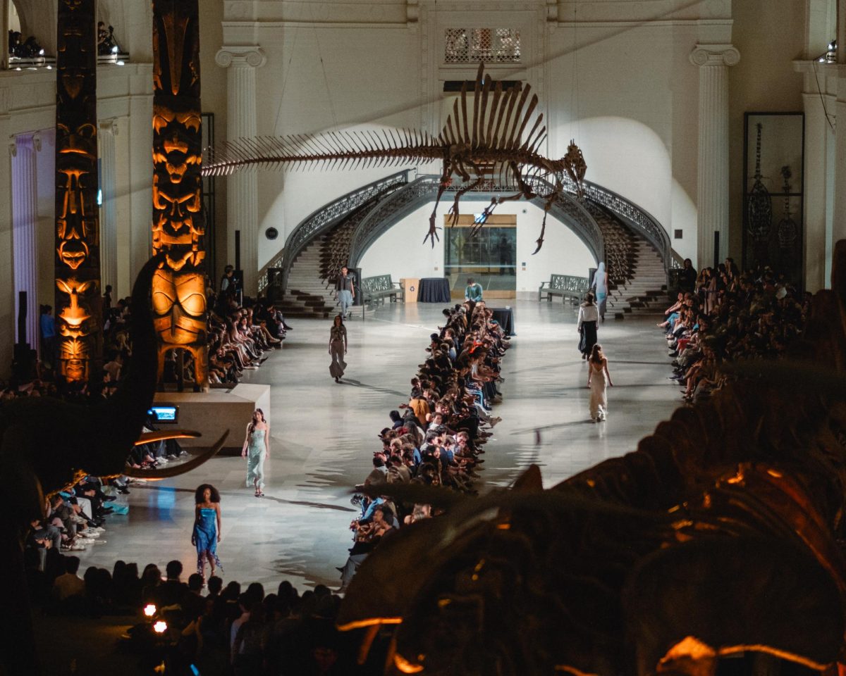 Student designers and models dazzled onlookers at MODA: Specimen 2026, held at the Field Museum Saturday evening.