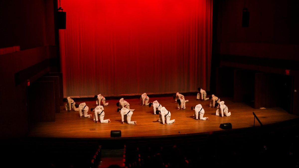 Members of UChicago Taekwondo crouch on stage during their performance.