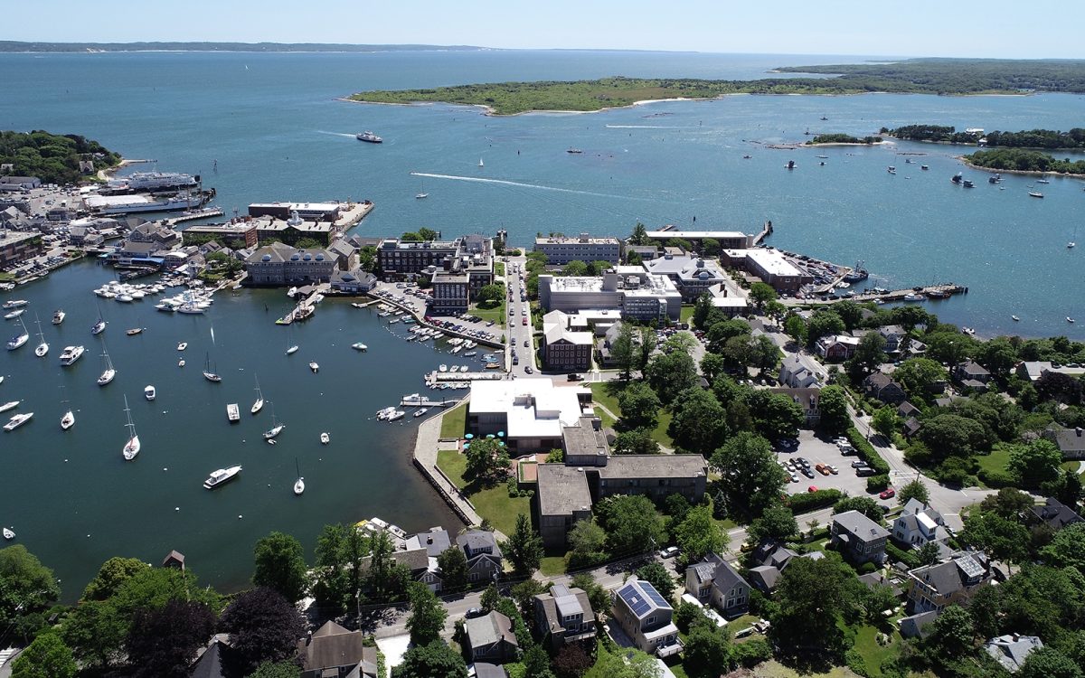 An aerial view of the Marine Biological Laboratory at Woods Hole, Massachusetts. Courtesy of the Marine Biological Laboratory.